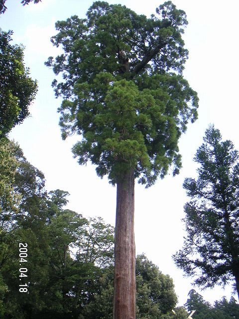 s_PICT0034.jpg